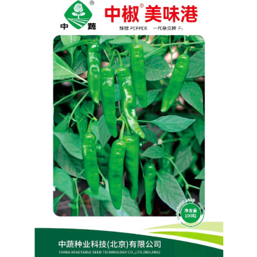 中椒美味港港椒种子腌咸菜子弹椒泡椒种子籽春季四季田园盆栽
