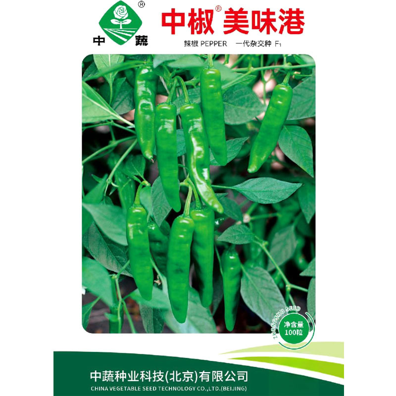 中椒美味港港椒种子腌咸菜子弹椒泡椒种子籽春季四季田园盆栽