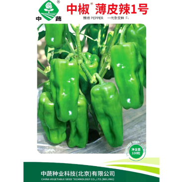 中椒薄皮辣1号辣椒种子薄皮椒种子春季四季种籽高产盆栽