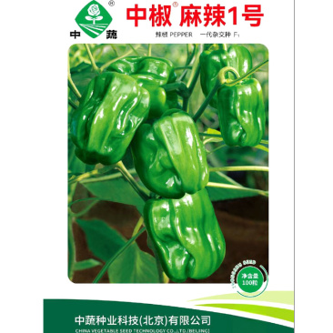 中椒麻辣1号皱皮辣椒种子虎皮香辣南北四季春季种籽蔬菜种子