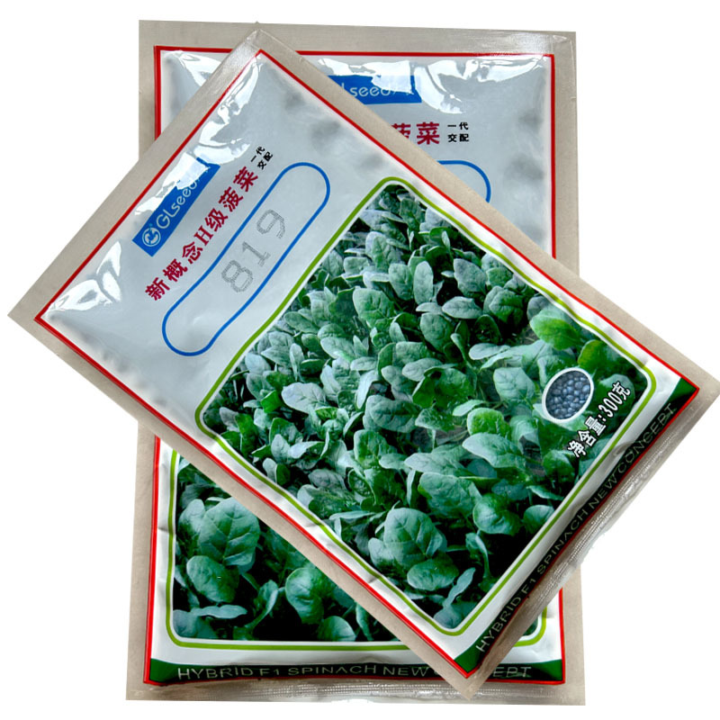 广良新改良H级菠菜种子杂交菠菜300g尖圆叶耐寒耐抽苔