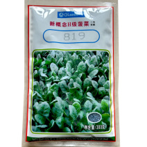 广良新改良H级菠菜种子杂交菠菜300g尖圆叶耐寒耐抽苔