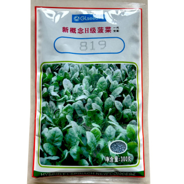 广良新改良H级菠菜种子杂交菠菜300g尖圆叶耐寒耐抽苔