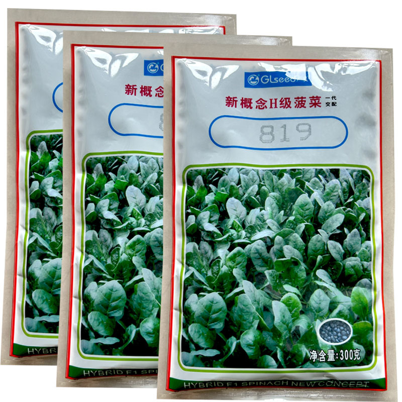 广良新改良H级菠菜种子杂交菠菜300g尖圆叶耐寒耐抽苔