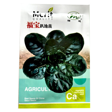 福宝趴地菠菜种子25g深绿墨绿耐寒菠菜种基地品种