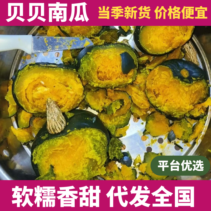 山东贝贝南瓜，每天固定15w！爆粉！板栗味！品质保证！