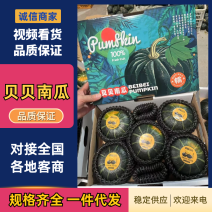 山东贝贝南瓜，产地直发，口感好个头均匀，皮毛黑亮货源充足