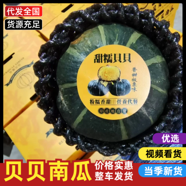 山东贝贝南瓜，原产地直发，大个头，皮毛黑亮，粉度高