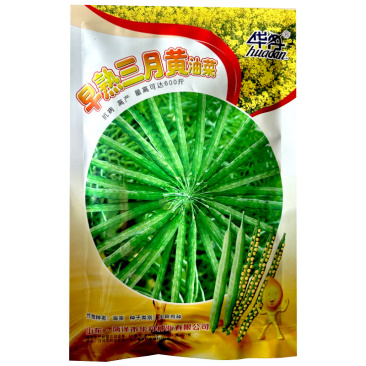 早熟三月黄油菜种子生育期短抗病抗倒伏耐寒榨油用种