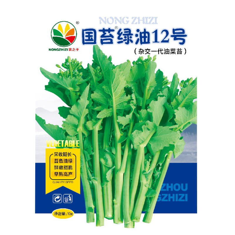 国苔绿油12号杂交种采收期长苔色油绿鲜嫩甜脆早熟高产