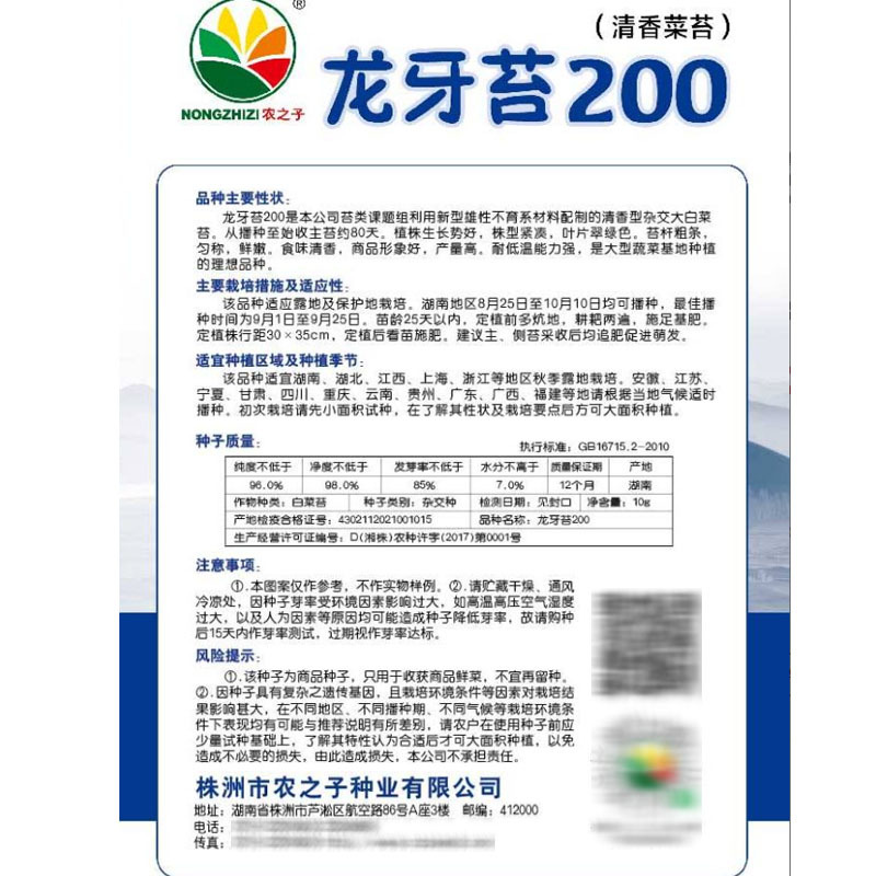 龙牙苔200苔菜种子青菜甜嫩多汁火锅菜味清香基地专用