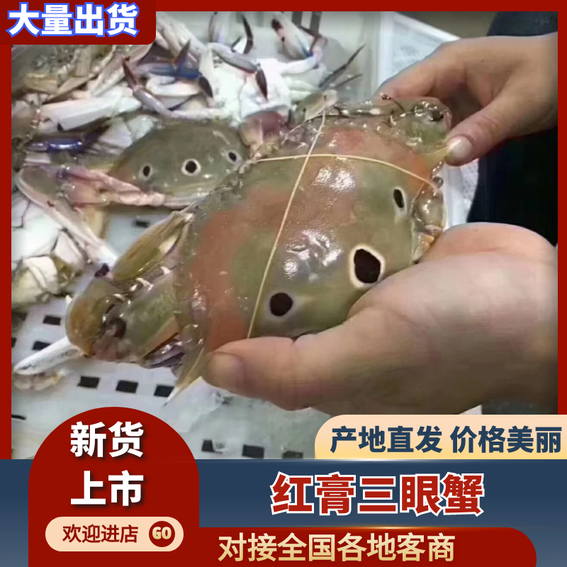 台海红膏三眼蟹，筛选的每只都有红膏有肉，小件试样5斤1件