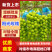 阳光玫瑰实力供货产地直发颗颗饱满可验货代发全国市场