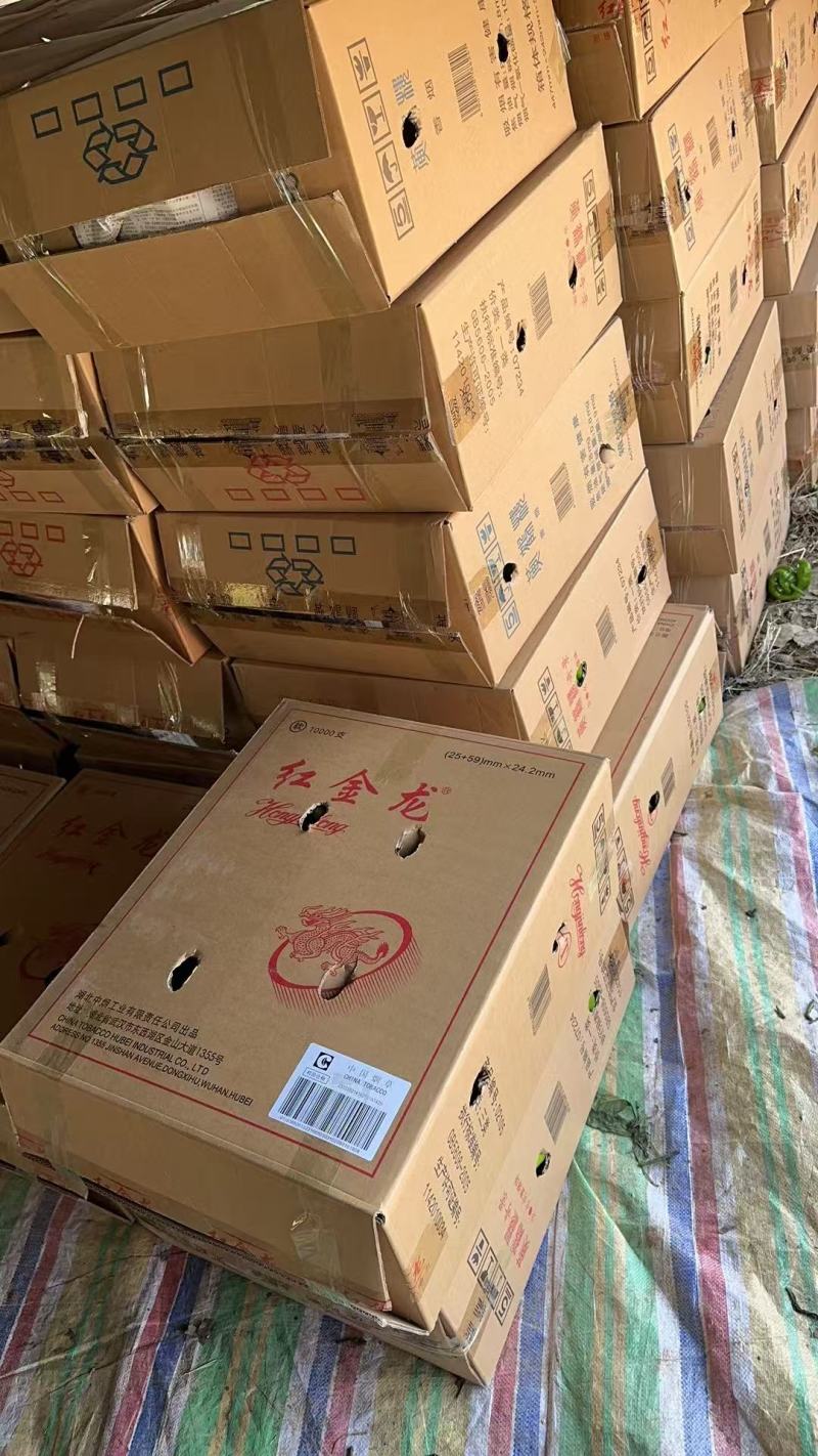 （牛）应季上新夏邑县301薄皮泡椒辣椒现摘欢迎电联