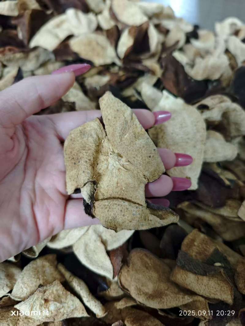 广西五年陈皮陈皮干