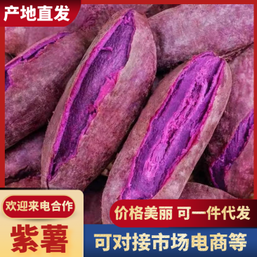 湖南永州紫薯现挖现发新鲜直达支持一件代发欢迎咨询
