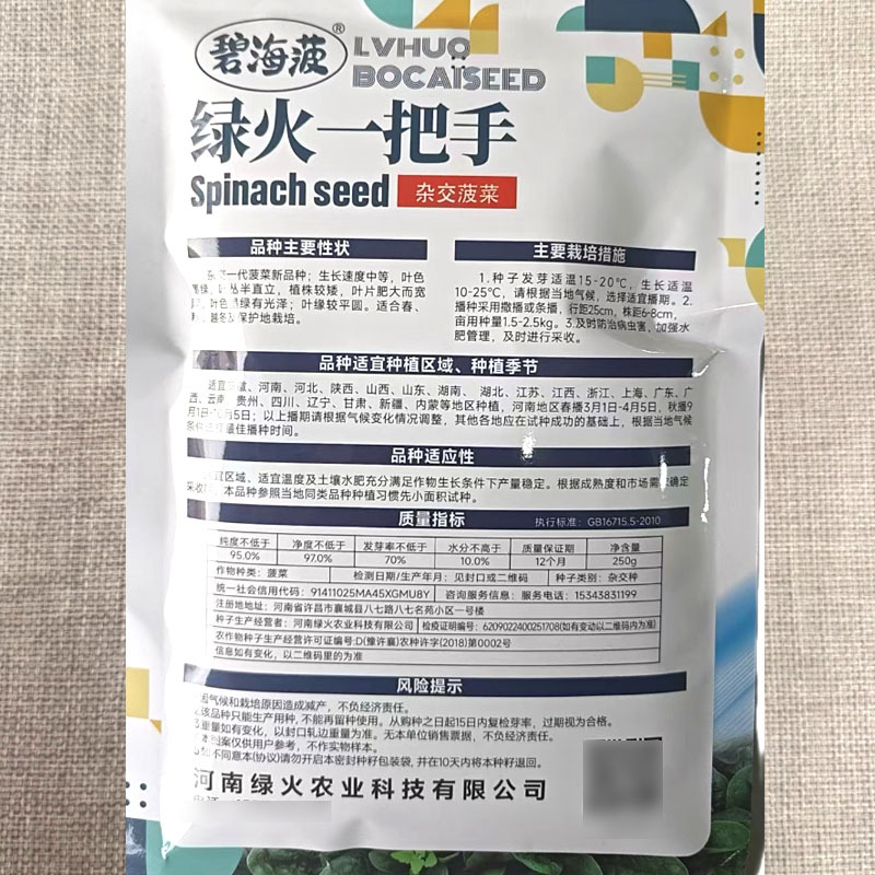 绿火一把手杂交菠菜种子半直立型叶色墨绿大叶菠菜种子