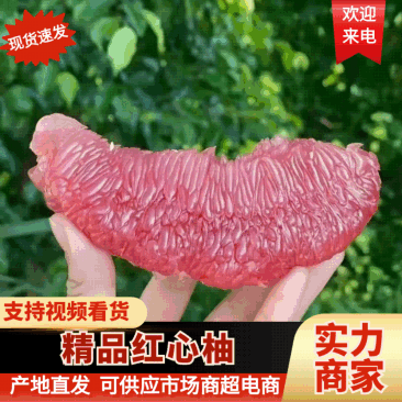 精品红心柚一手货源有出口资质量大从优诚信经营欢迎咨询