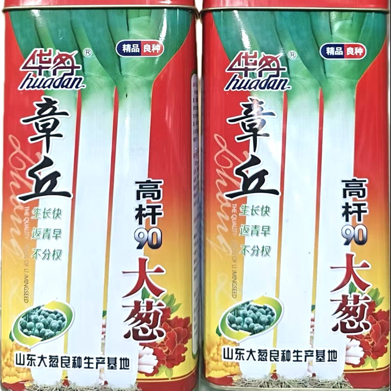 章丘高杆90大葱种子生长快返青早不分杈叶色浓绿蜡粉厚