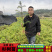 杉树苗批发江西优质良种速生杉木树苗量大从优
