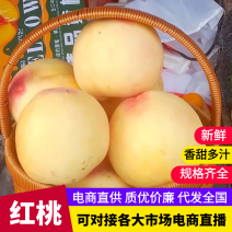 河北康泰蜜桃99白肉口感甜，产地直供欢迎电话联系