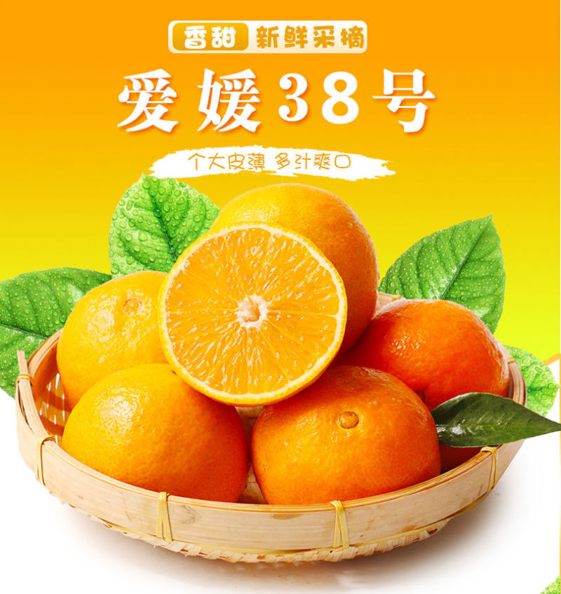 现货一件代发四川眉山爱媛38号果冻橙现摘现发供应电商各大