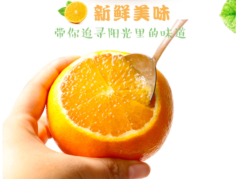 现货一件代发四川眉山爱媛38号果冻橙现摘现发供应电商各大