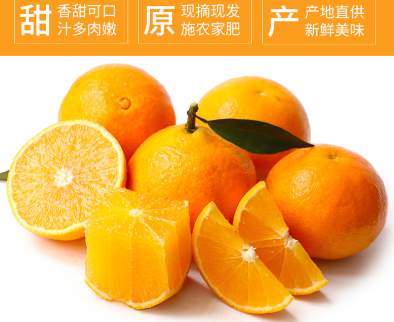现货一件代发四川眉山爱媛38号果冻橙现摘现发供应电商各大