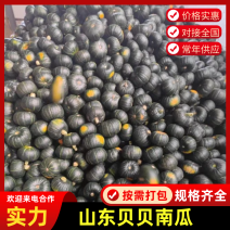 【实力】广东贝贝南瓜/抖音快手对接电商货一件代发