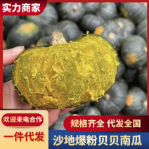 【精品】山东贝贝南瓜/潍坊贝贝/批发散装规格齐全优惠便宜