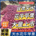 甘肃天水花牛苹果/基地直供/现摘现发/欢迎来电洽谈