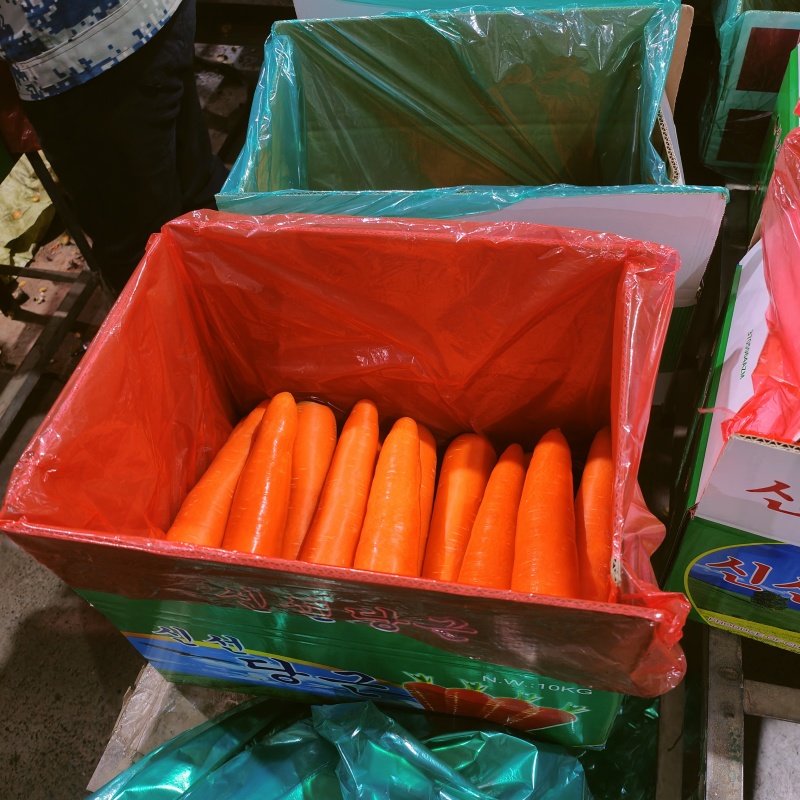 陕西榆林胡萝卜大量上市中电商超市批发市场，支持线上看货