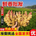 精品泥姜大黄姜水洗加工风干一体化/市场/出口/电商/