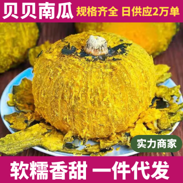【贝贝南瓜】山东南瓜/潍坊贝贝南瓜/抖音快手日供应2万单