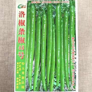 洛椒条椒46号线椒种子特大果早中熟翠绿色线椒种子基地种植