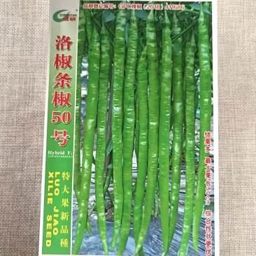 洛椒条椒50号特大果线椒种子结果多抗病高产基地种植