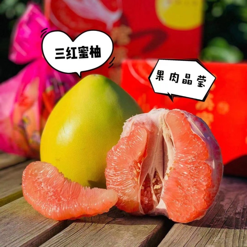 【平和琯溪蜜柚三红蜜柚】老树柚子果大皮薄9斤彩箱新鲜水