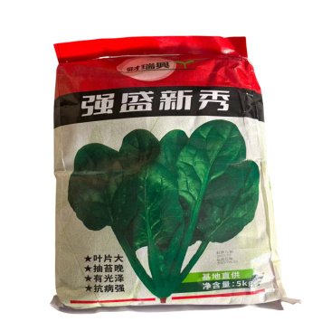 强盛新秀菠菜种子长势旺抗病抗寒耐热春秋大叶菠菜种子