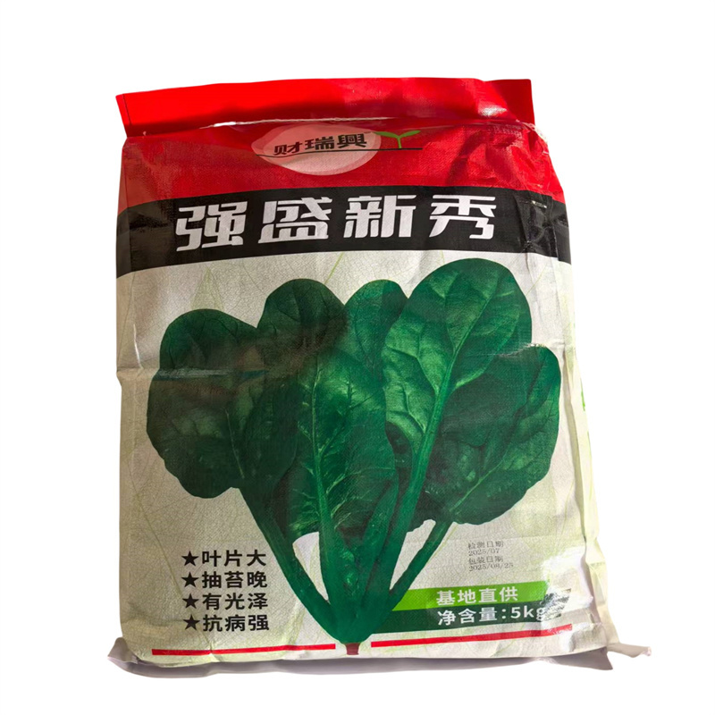 强盛新秀菠菜种子长势旺抗病抗寒耐热春秋大叶菠菜种子