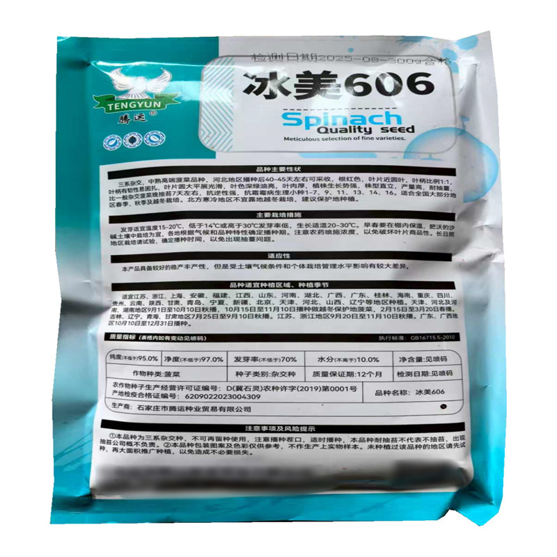 冰美606菠菜种子三系杂交中熟圆大叶菠菜种子高产春秋