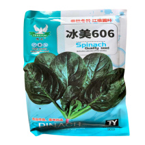 冰美606菠菜种子三系杂交中熟圆大叶菠菜种子高产春秋