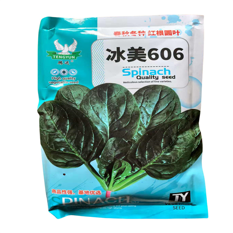 冰美606菠菜种子三系杂交中熟圆大叶菠菜种子高产春秋