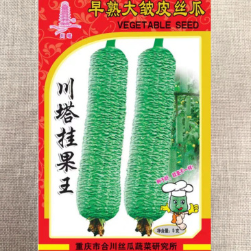 川塔挂果王肉丝瓜种子丝瓜种籽四季春早中熟蔬菜丝瓜种子