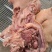 【牛头肉】熟食现货带皮去骨不掺假不注水售后无忧