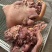 【牛头肉】熟食现货带皮去骨不掺假不注水售后无忧