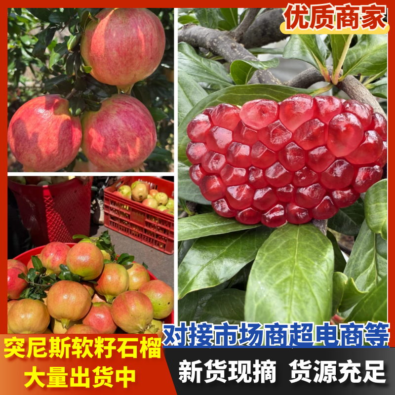 突尼斯软籽石榴四川石榴产地直发品质保障对接全国市场