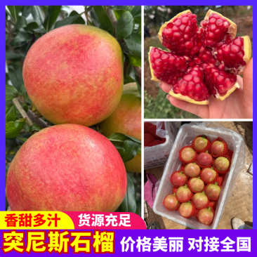 突尼斯软籽石榴四川会理石榴产地直发品质保障对接全国