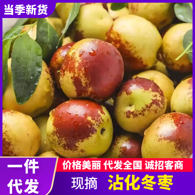 沾化冬枣产地直发一手货源品质保证价格美丽