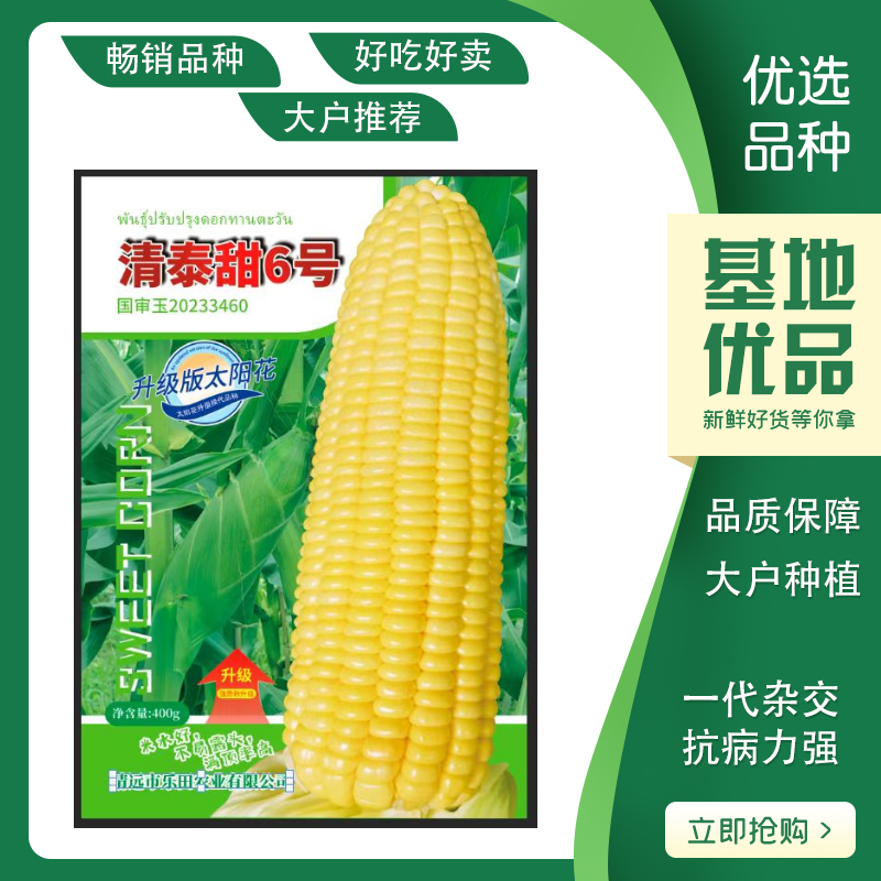 清泰甜6号国审大包装甜玉米种子升级版太阳花甜玉米种籽杂