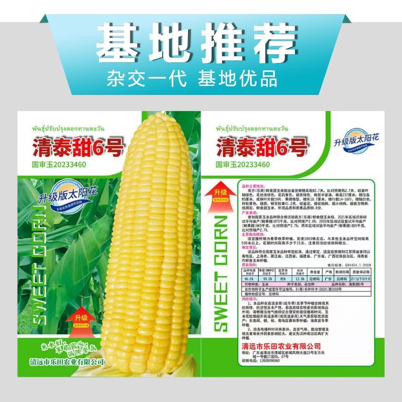清泰甜6号国审大包装甜玉米种子升级版太阳花甜玉米种籽杂